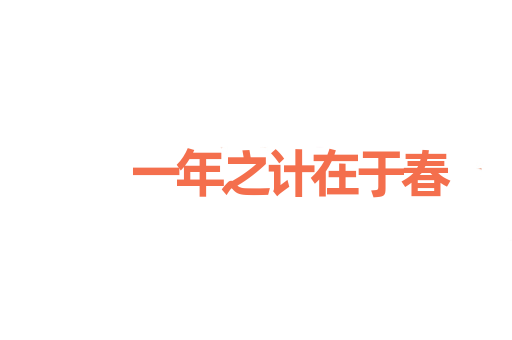 一年之计在于春