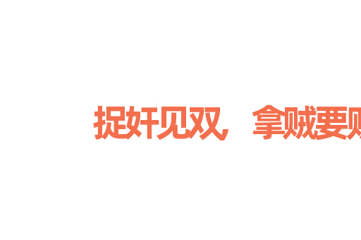 捉奸见双,拿贼要赃